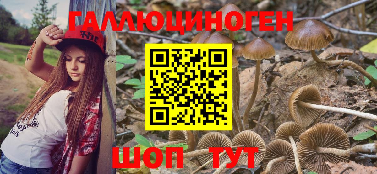 Ростов-на-Дону  Псилоцибиновые грибы Magic Shrooms  Галлюциногенные грибы ЛСД  Вход с VPN 
