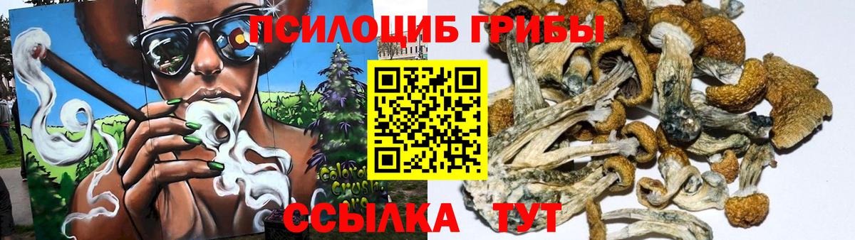 Галлюциногенные грибы Psilocybe Ростов-на-Дону